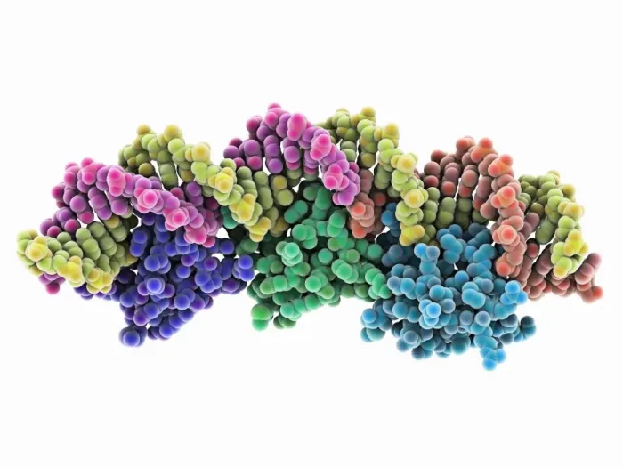 Gerahmter Druck : Exisionskomplex mit DNA Gerahmter Druck : Exisionskomplex mit DNA
