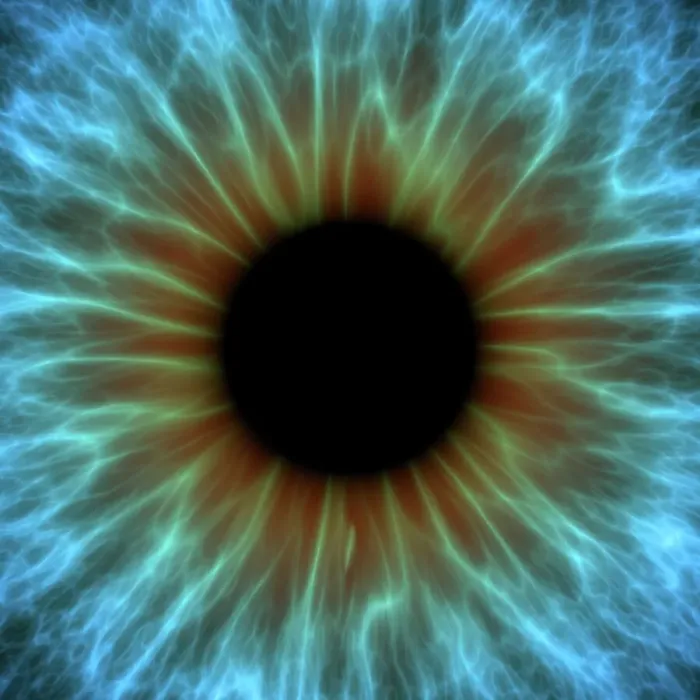 Gerahmter Druck : Auge, Iris