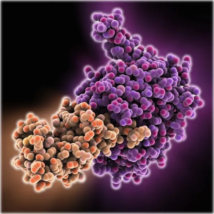 Gerahmter Druck : MalariafP2-Proteasenkomplex Gerahmter Druck : MalariafP2-Proteasenkomplex