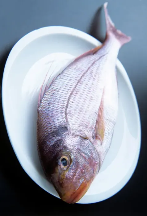 Gerahmter Druck : Bream. Frischer Brachse auf einem Teller Gerahmter Druck : Bream. Frischer Brachse auf einem Teller