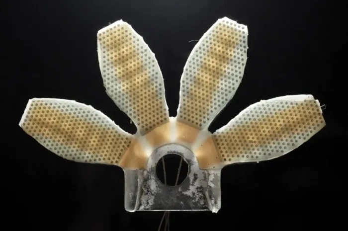 Gerahmter Druck : Roboterfußgecko Gerahmter Druck : Roboterfußgecko