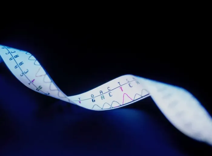 Gerahmter Druck : Genetische Sequenz