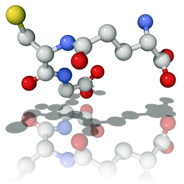 Gerahmter Druck : Glutathion, molekularer Modell Gerahmter Druck : Glutathion, molekularer Modell