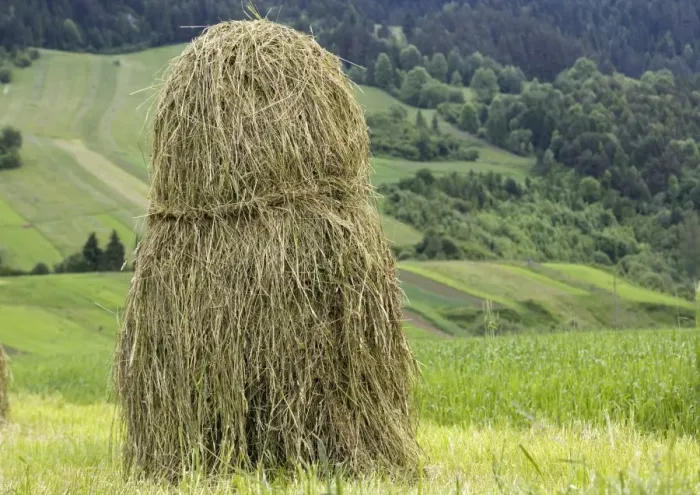 Gerahmter Druck : Hay stack. Traditioneller Heubügel im offenen Feldsystem der Fusssteppen Gerahmter Druck : Hay stack. Traditioneller Heubügel im offenen Feldsystem der Fusssteppen