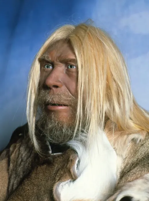 Gerahmter Druck : Kopf eines Modells eines Neandertalersmannes Gerahmter Druck : Kopf eines Modells eines Neandertalersmannes