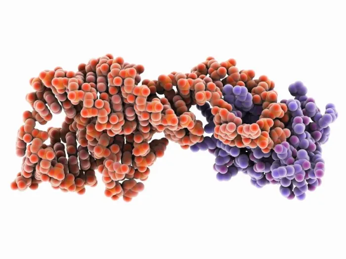 Gerahmter Druck : Virus Hepatitis D-Ribosidkomplex Gerahmter Druck : Virus Hepatitis D-Ribosidkomplex