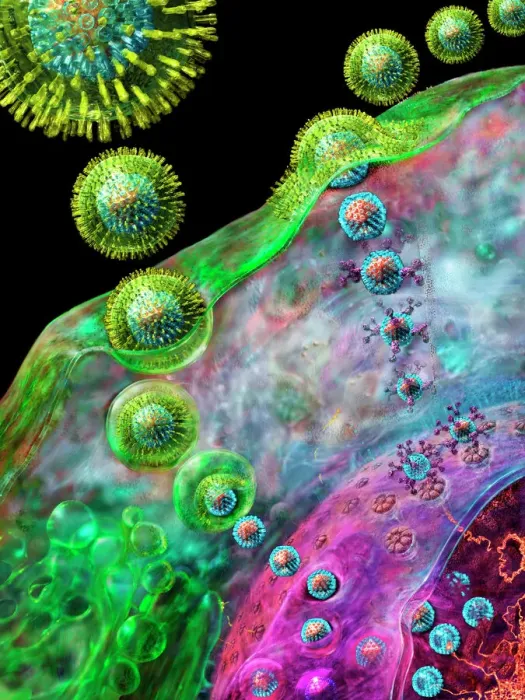 Gerahmter Druck : Herpesvirus repliziert sich Gerahmter Druck : Herpesvirus repliziert sich