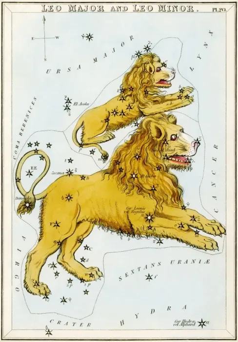Gerahmter Druck : Die Sterne von Leo Gerahmter Druck : Die Sterne von Leo