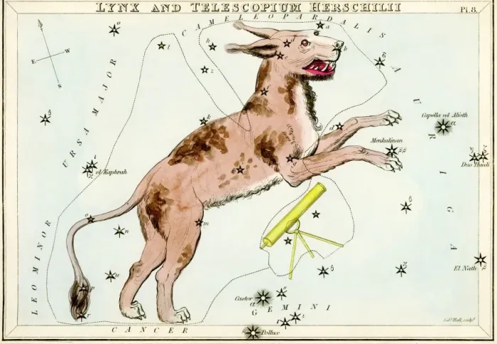 Gerahmter Druck : Lyra-Konstellation Gerahmter Druck : Lyra-Konstellation