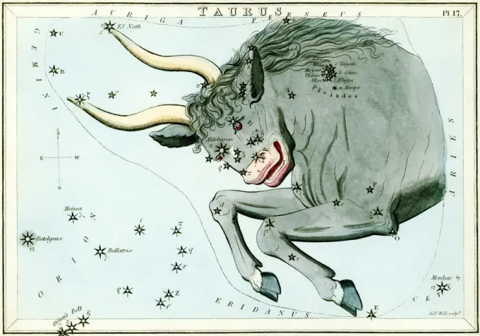 Gerahmter Druck : Kepler-Konstellation des Bogensbocks Gerahmter Druck : Kepler-Konstellation des Bogensbocks