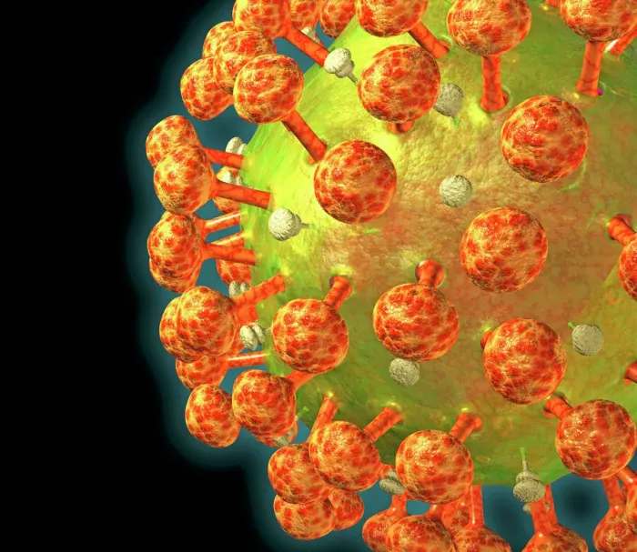 Gerahmter Druck : Humanimmunschaftspartikel Gerahmter Druck : Humanimmunschaftspartikel