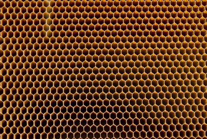 Gerahmter Druck : Bienenkörnchenkeramik Gerahmter Druck : Bienenkörnchenkeramik