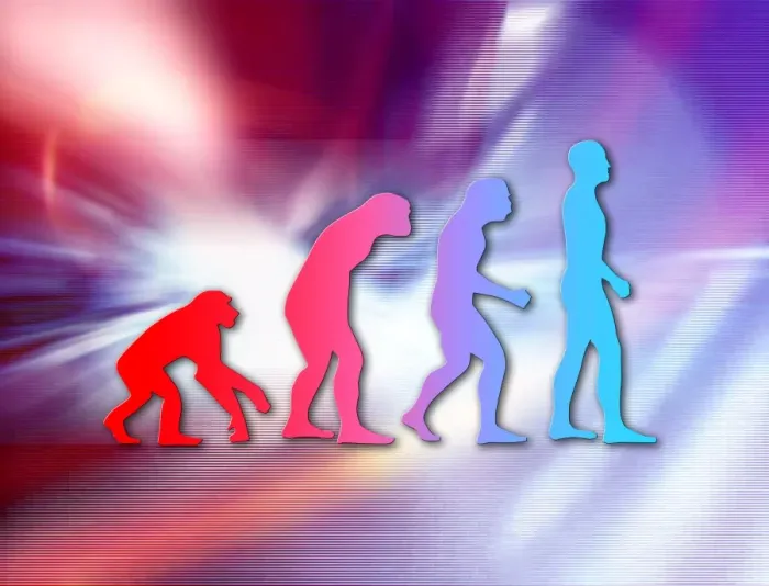 Gerahmter Druck : Menschliche Evolution Gerahmter Druck : Menschliche Evolution
