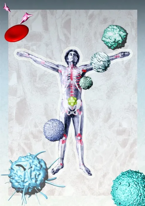 Gerahmter Druck : Immunsystemkomponenten Gerahmter Druck : Immunsystemkomponenten