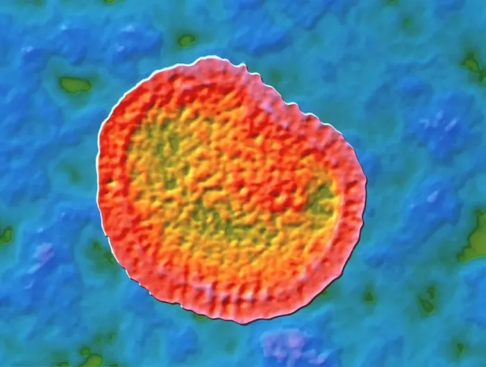 Gerahmter Druck : Influenzavirus