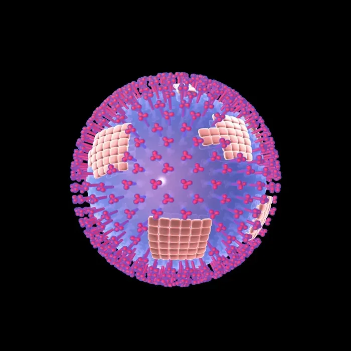Gerahmter Druck : Influenzavirus Gerahmter Druck : Influenzavirus