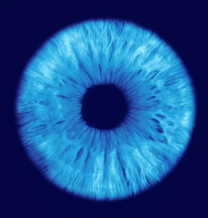 Gerahmter Druck : Die Iris des Auges Gerahmter Druck : Die Iris des Auges