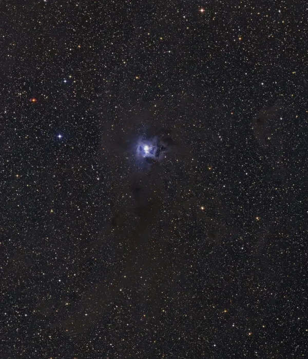 Gerahmter Druck : Iris Nebula Gerahmter Druck : Iris Nebula