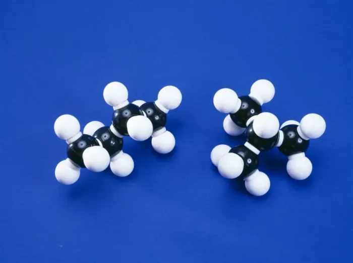 Gerahmter Druck : Butandenisome Gerahmter Druck : Butandenisome