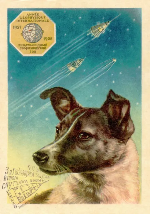 Gerahmter Druck : Laika der Weltraumhund Postkarte. Gerahmter Druck : Laika der Weltraumhund Postkarte.