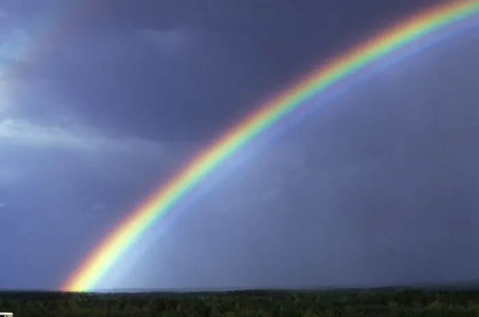 Gerahmter Druck : Regenbogen über Bäumen Gerahmter Druck : Regenbogen über Bäumen