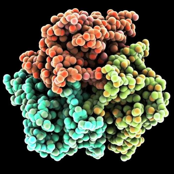Gerahmter Druck : Leptinmolekül Gerahmter Druck : Leptinmolekül