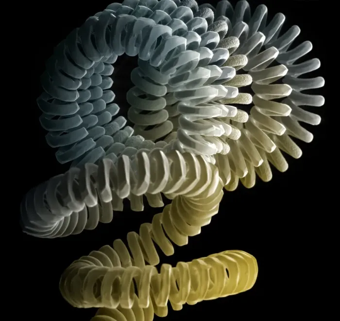 Gerahmter Druck : Leuchtstoffrohr Filament, SEM Gerahmter Druck : Leuchtstoffrohr Filament, SEM