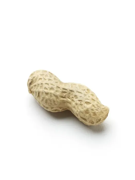 Gerahmter Druck : Bananenkerne Gerahmter Druck : Bananenkerne