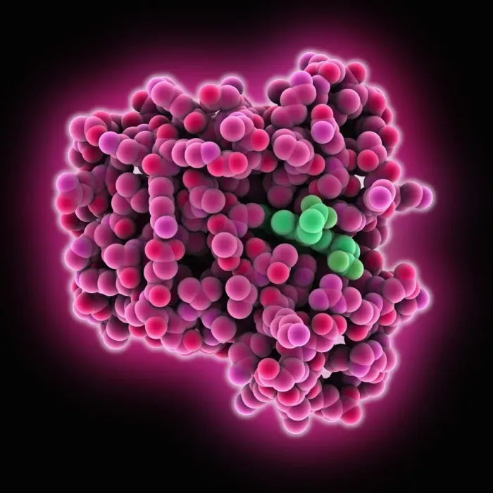 Gerahmter Druck : Meinoglobuinmolekül C015 / 5702