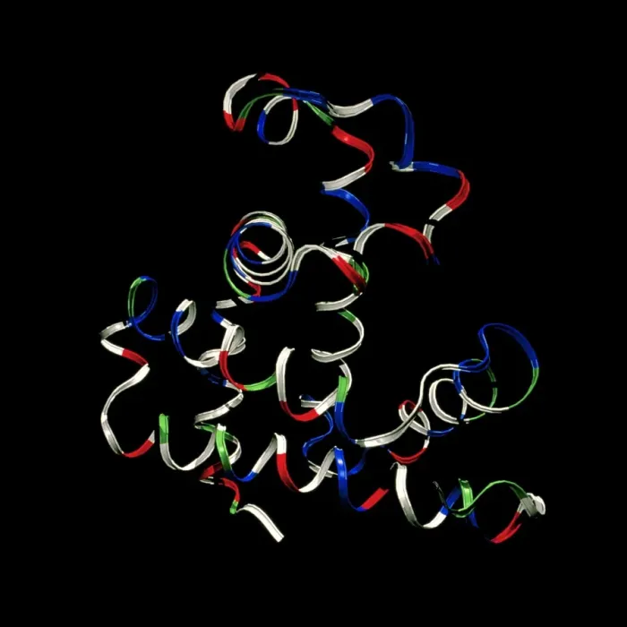 Gerahmter Druck : Meinoglobuin-Protein Gerahmter Druck : Meinoglobuin-Protein