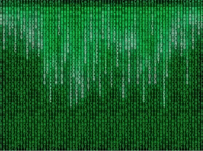 Gerahmter Druck : Zellkernbasismatrix Gerahmter Druck : Zellkernbasismatrix