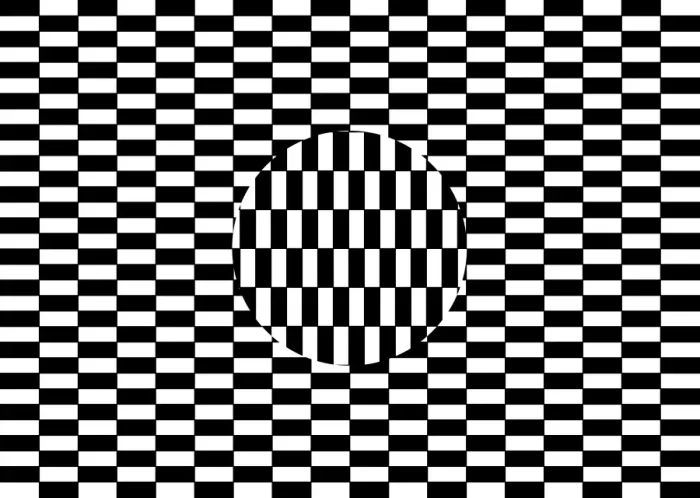 Gerahmter Druck : Ochsenillusion Gerahmter Druck : Ochsenillusion
