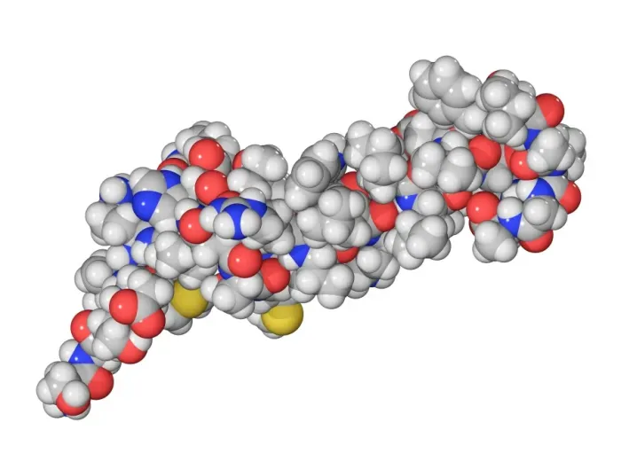 Gerahmter Druck : Schilddrüsenhormonmolekül Gerahmter Druck : Schilddrüsenhormonmolekül