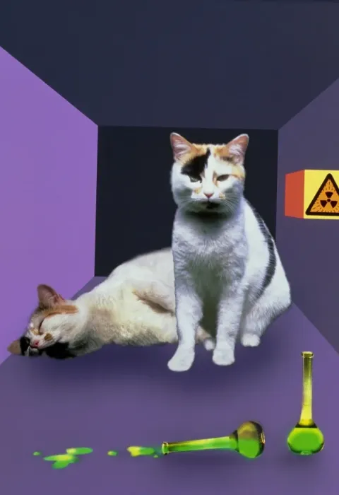 Gerahmter Druck : Schrödingers Katze-Experiment Gerahmter Druck : Schrödingers Katze-Experiment