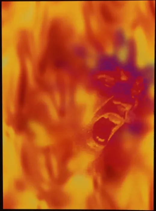 Gerahmter Druck : Pyromania. MODELL FREIGEBEN. Pyromanie oder Schizophrenie Gerahmter Druck : Pyromania. MODELL FREIGEBEN. Pyromanie oder Schizophrenie
