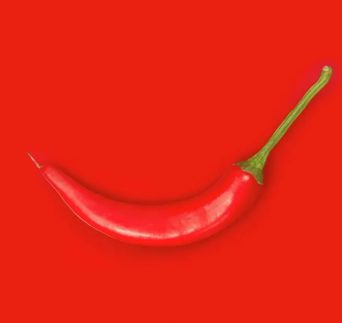 Gerahmter Druck : Red Chilli Gerahmter Druck : Red Chilli