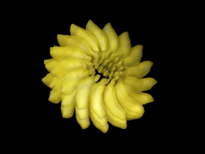 Gerahmter Druck : Ribgrassmosaikvirus, Computermodell Gerahmter Druck : Ribgrassmosaikvirus, Computermodell