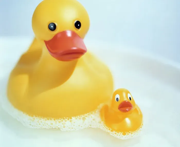 Gerahmter Druck : Gummabäusche Gerahmter Druck : Gummabäusche