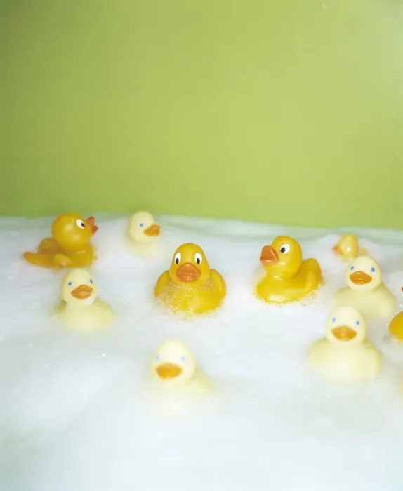 Gerahmter Druck : Gummibäusche Gerahmter Druck : Gummibäusche
