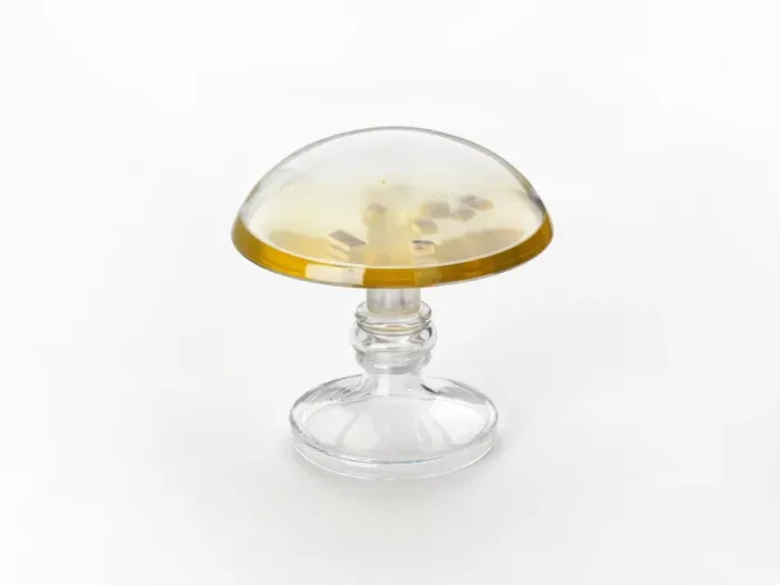 Gerahmter Druck : Probenstoff Natrium von Davy C016 / 3670 Gerahmter Druck : Probenstoff Natrium von Davy C016 / 3670