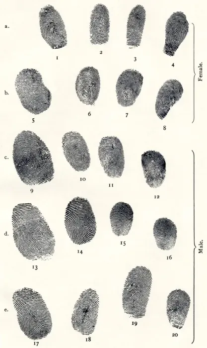 Gerahmter Druck : Fingerabdrücke in Gruppen Gerahmter Druck : Fingerabdrücke in Gruppen