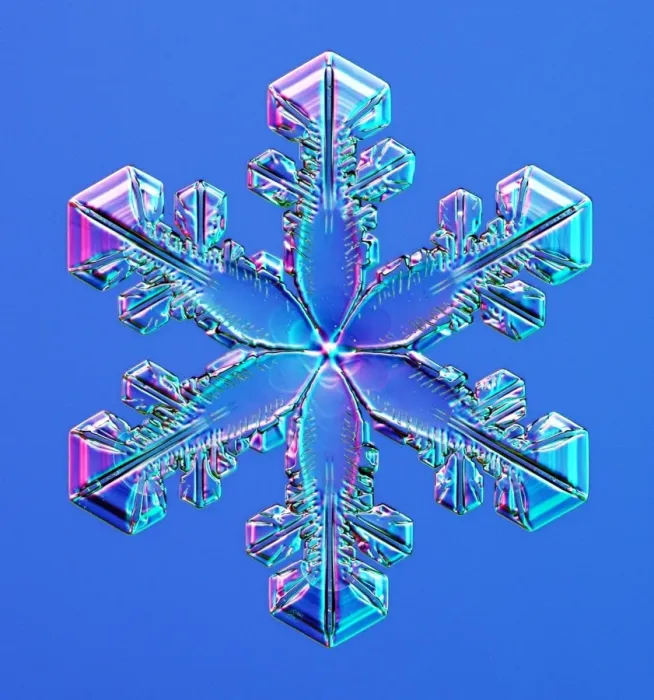 Gerahmter Druck : Snowflake. Schneeflocke. Diese ist ein Eis Kristall der sich im Luft bildet Gerahmter Druck : Snowflake. Schneeflocke. Diese ist ein Eis Kristall der sich im Luft bildet