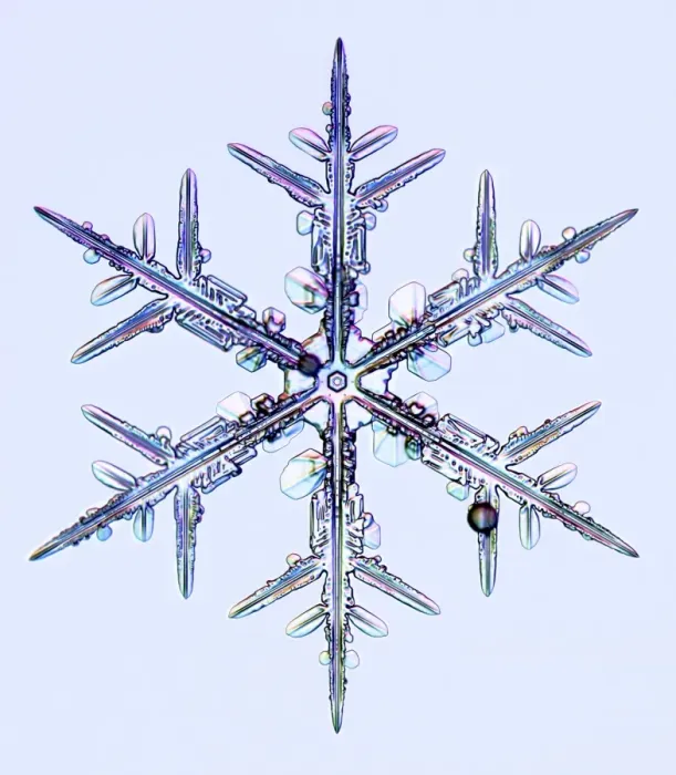 Gerahmter Druck : Schneeflocke, Lichtmikroskopbild