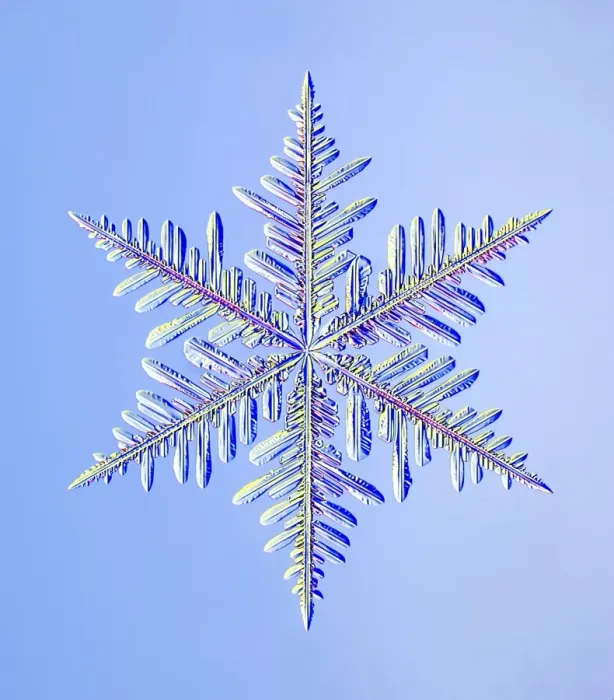 Gerahmter Druck : Schneeflocke, Lichtmikroskopbild Gerahmter Druck : Schneeflocke, Lichtmikroskopbild