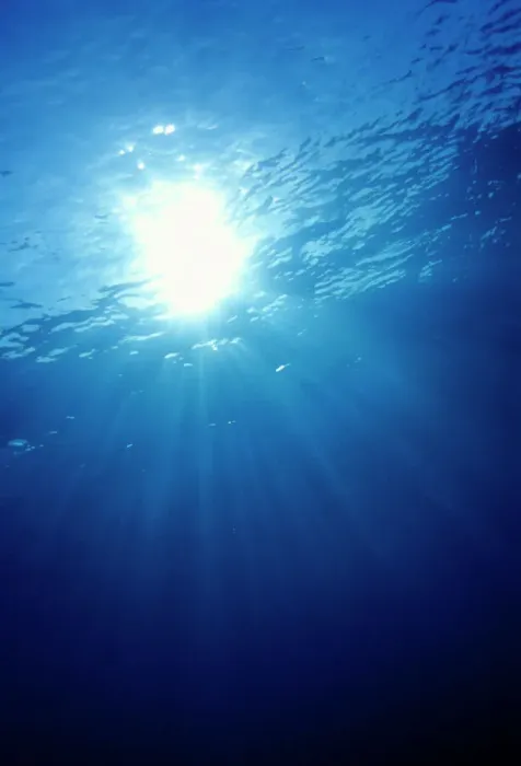 Gerahmter Druck : Unterwasserlicht Gerahmter Druck : Unterwasserlicht