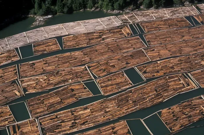 Gerahmter Druck : Holz-Räder Gerahmter Druck : Holz-Räder