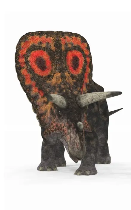 Gerahmter Druck : Torosaurier Dinosaurus