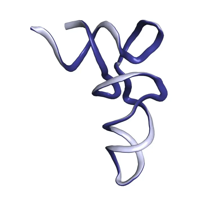Gerahmter Druck : Tranzonukleotidmolekül Gerahmter Druck : Tranzonukleotidmolekül