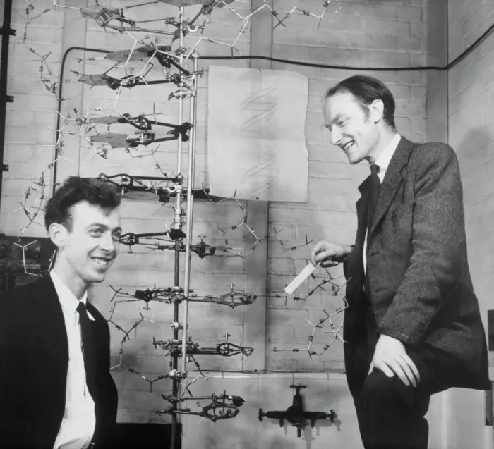 Gerahmter Druck : Watson und Crick mit ihrem DNS-Modell Gerahmter Druck : Watson und Crick mit ihrem DNS-Modell