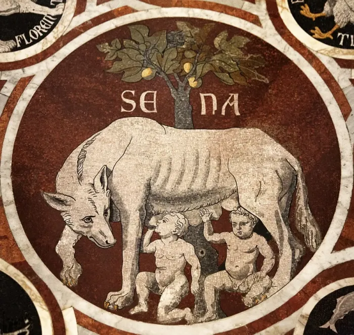 Gerahmter Druck : Der Wolf von Venedig Gerahmter Druck : Der Wolf von Venedig